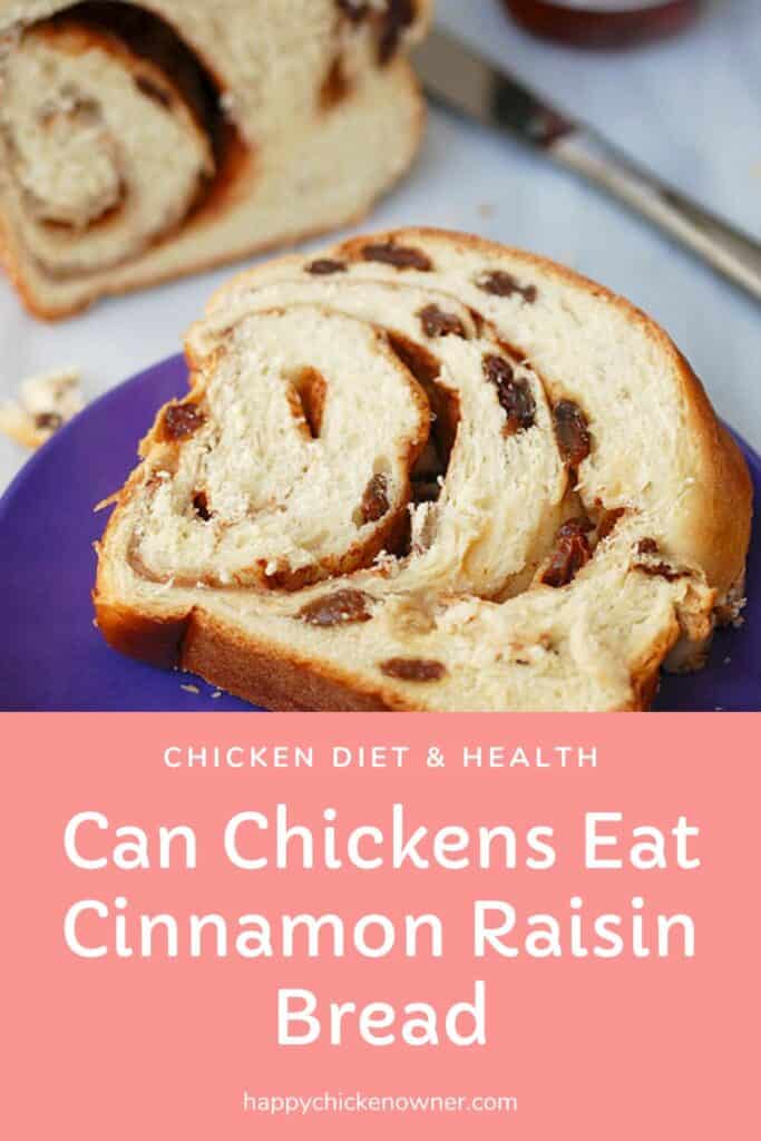 Can Chickens Eat Cinnamon Raisin Bread
