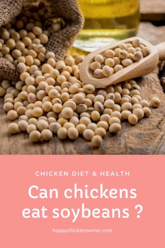 Can Chickens Eat Soybeans 