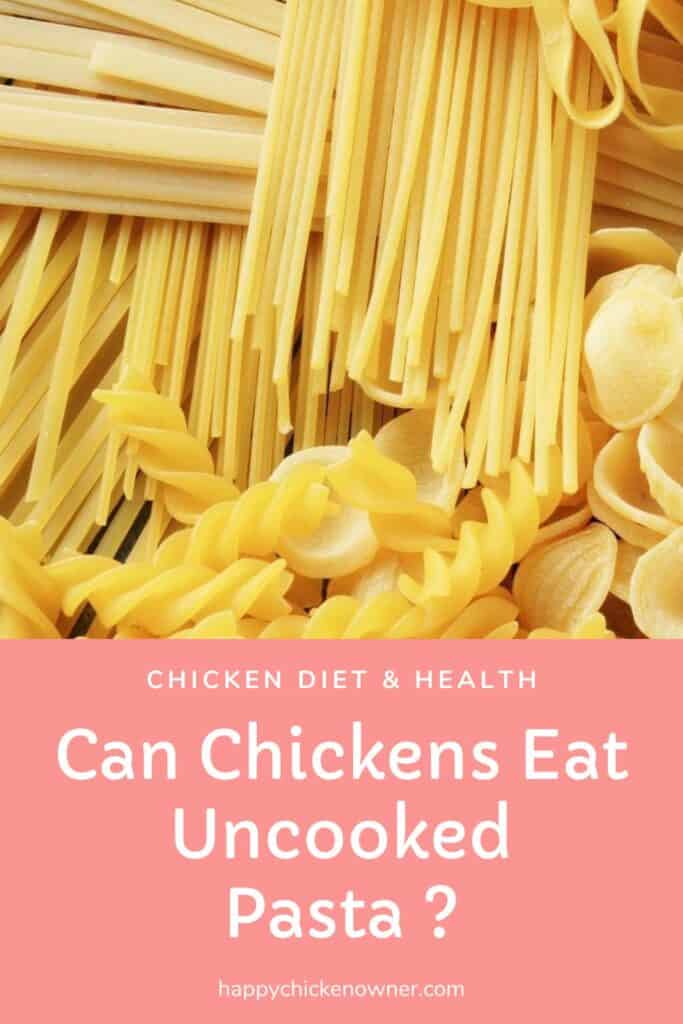 Can Chickens Eat Uncooked Pasta 