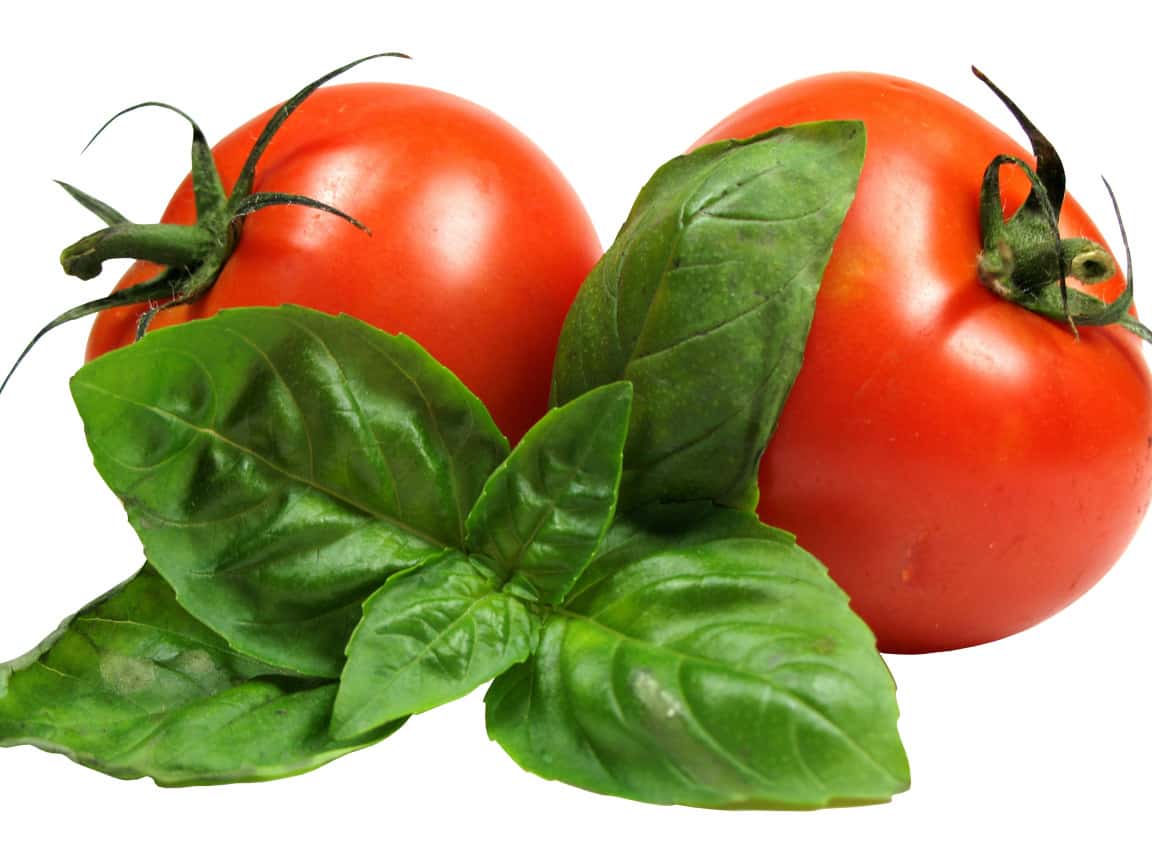 A photo of fresh red cherry tomatoes and green Tomato leaves arranged in a row on a plain white background