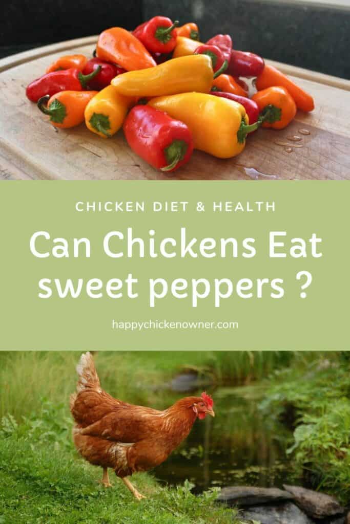 can chickens eat sweet peppers 