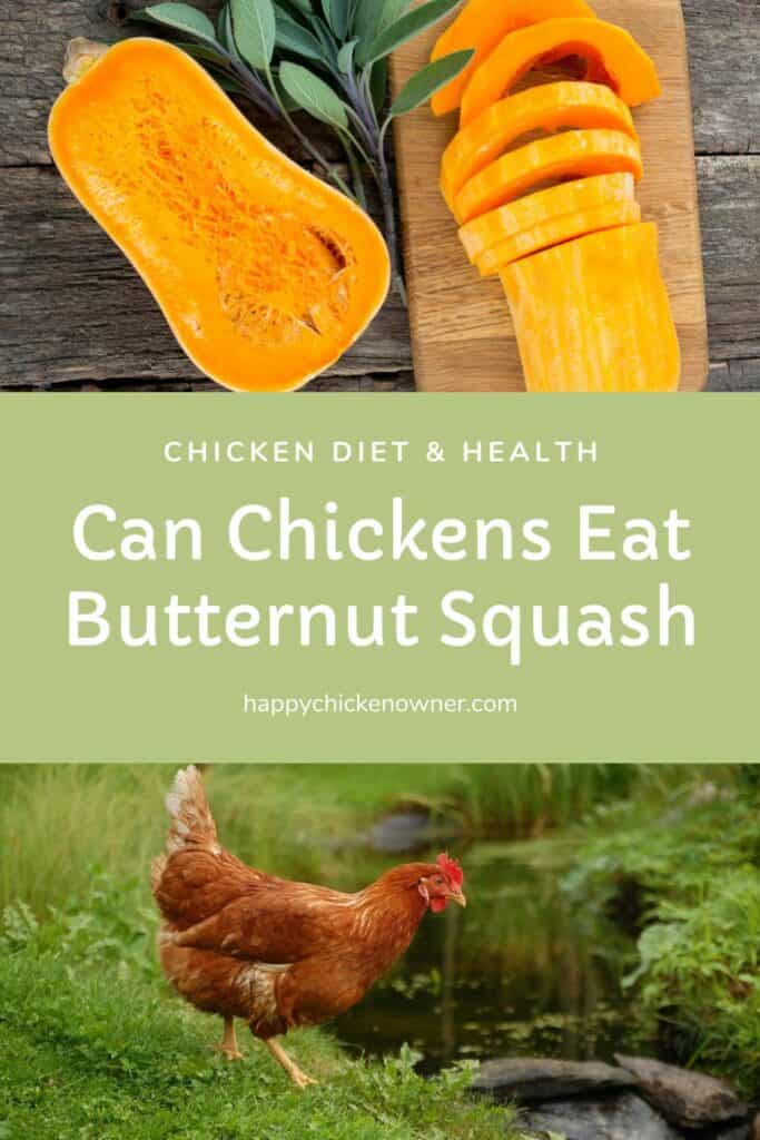 Can Chickens Eat Butternut Squash