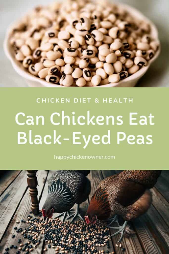 Can Chickens Eat Black-Eyed Peas
