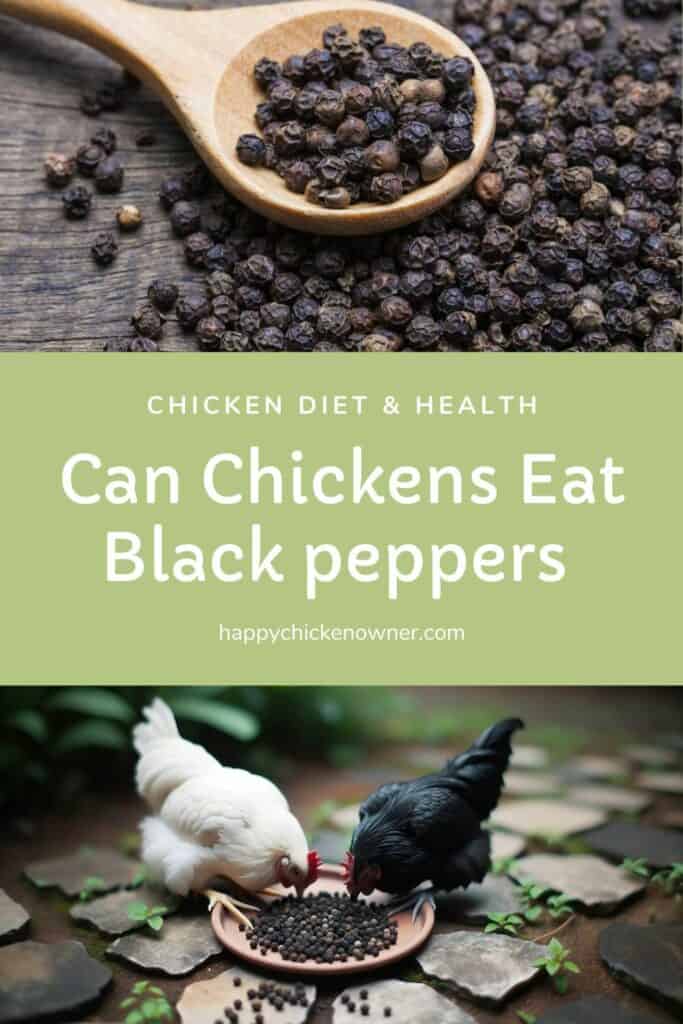 Can Chickens Eat Black peppers
