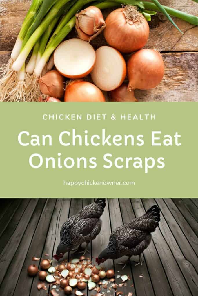 Can Chickens Eat Onions Scraps 