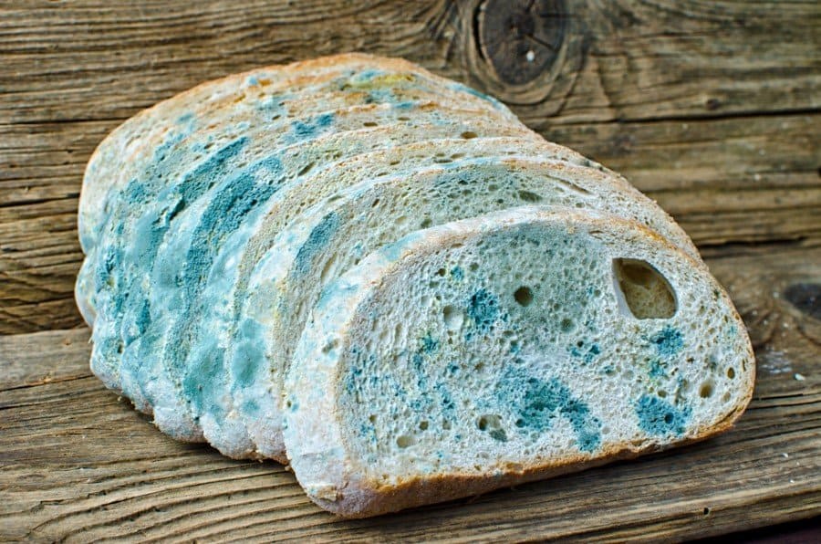 Sliced bread with blue mold on rustic wooden background