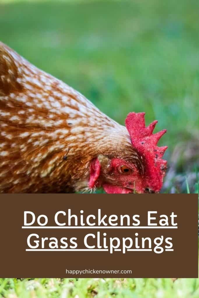 Do Chickens Eat Grass Clippings